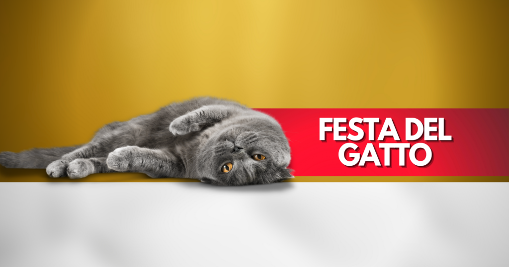 Festa del gatto