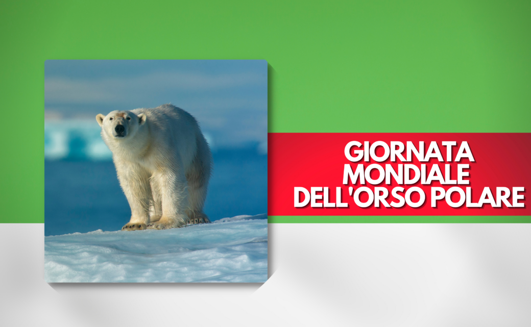 Giornata Mondiale dell'Orso Polare
