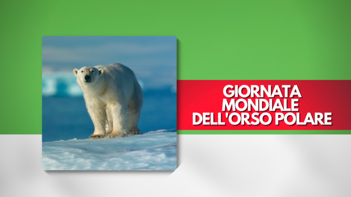 Giornata Mondiale dell'Orso Polare