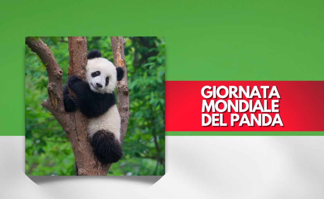Giornata mondiale del Panda