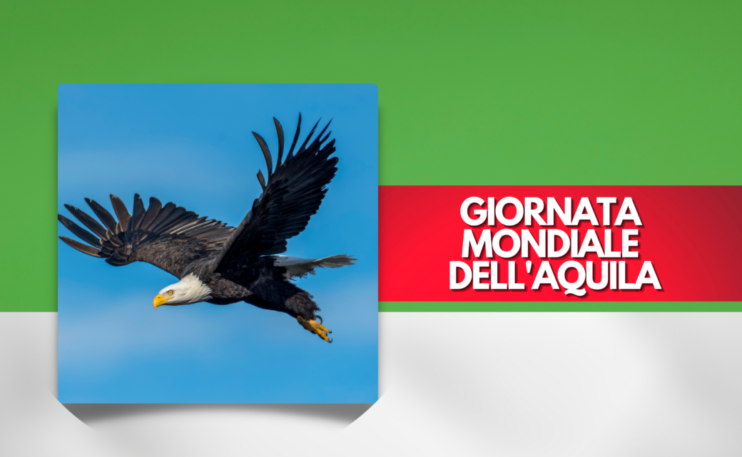 Giornata Mondiale dell’Aquila