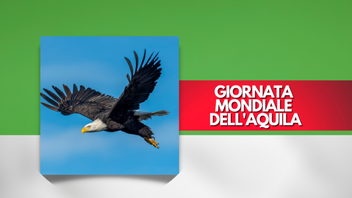 Giornata Mondiale dell’Aquila