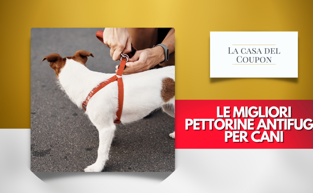 Le migliori pettorine antifuga