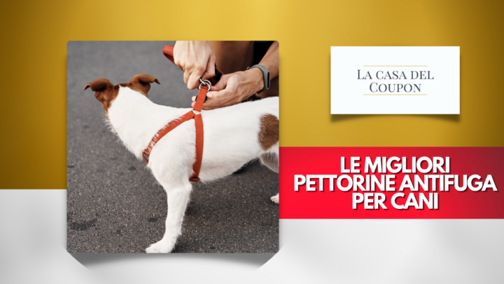 Le migliori pettorine antifuga