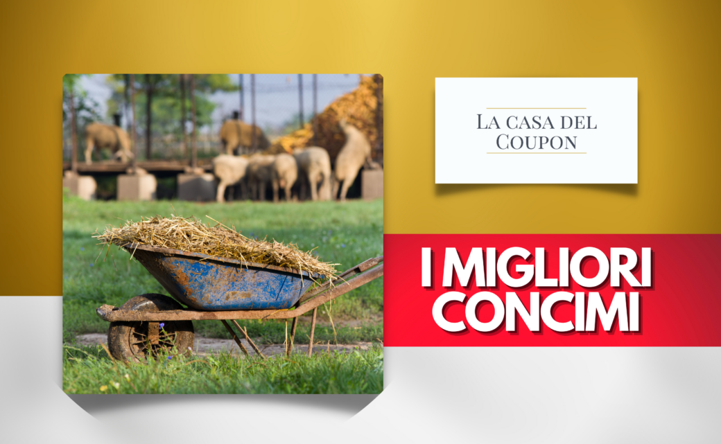 I migliori concimi