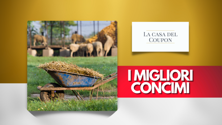 I migliori concimi