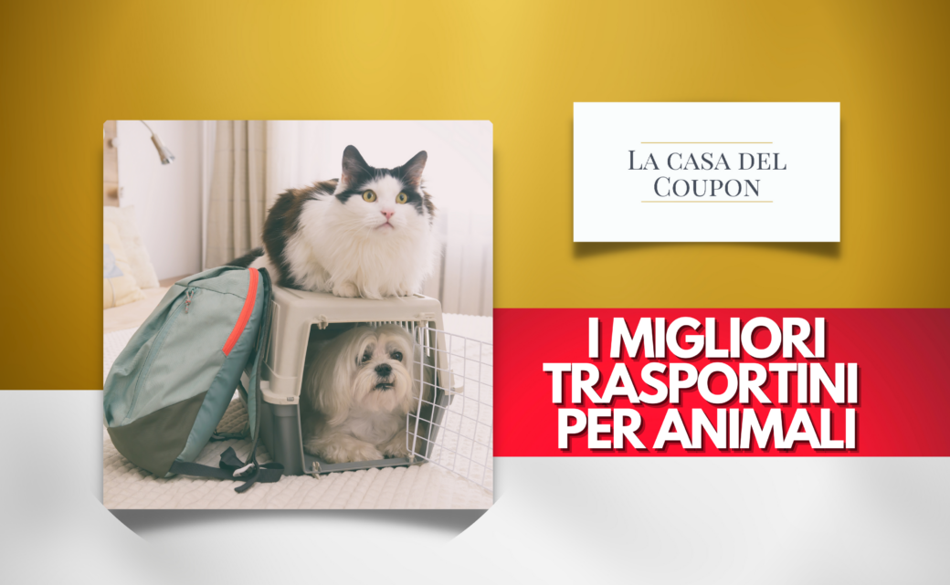 I migliori trasportini per animali