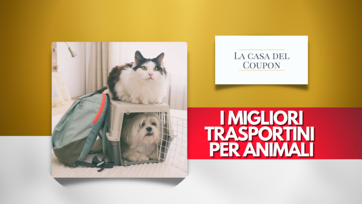 I migliori trasportini per animali